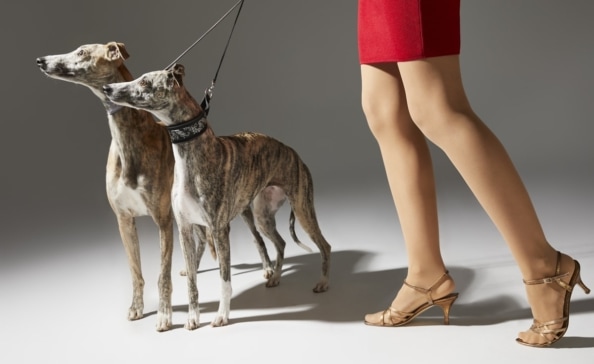 fotografia perros con mujer fashion moda eva casado